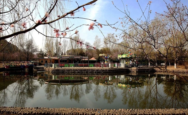 神木全攻略,吐血整理学习攻略