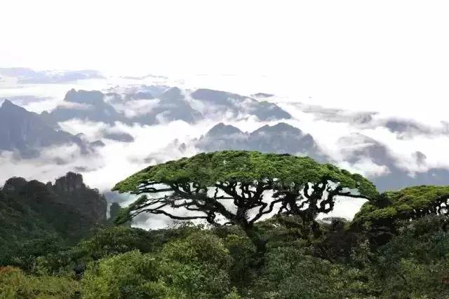 广西山清水秀小城,2020广西山清水秀自然景点