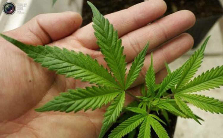 马拉松成为时尚了吗,马拉松跑步宝典