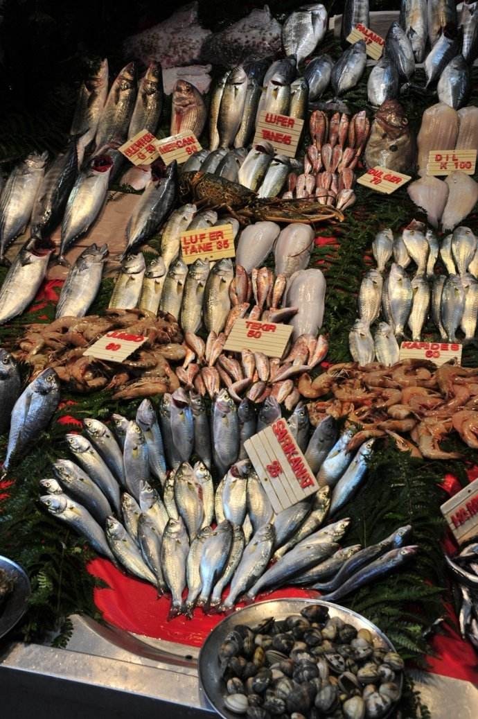 世界的首都伊斯坦布尔,伊斯坦布尔四天三晚