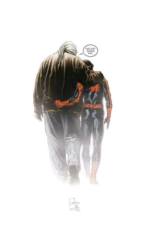 盘点最可爱的小蜘蛛,你见过这样呆萌可爱的小蜘蛛吗