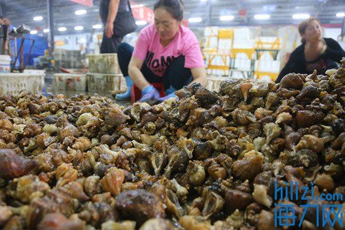 海鲜水产类市场,海鲜水产市场有哪些