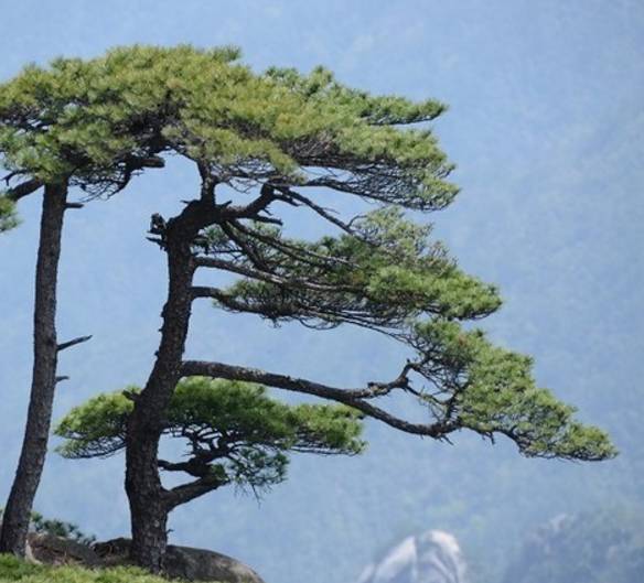 河南超美的地方,洛阳附近看星星的好去处