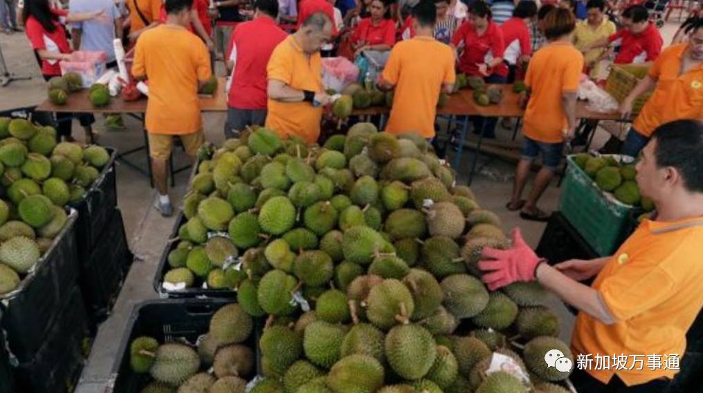 高能预警：榴莲价格要比黄金还贵了？！