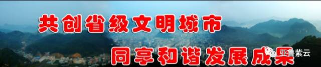「图文直播」2017中国紫云格凸国际攀岩节‘多彩贵州’攀岩公开赛开幕式