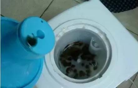 「健康」这些污垢比地板还脏，你竟然每天要吃进肚子好几遍……