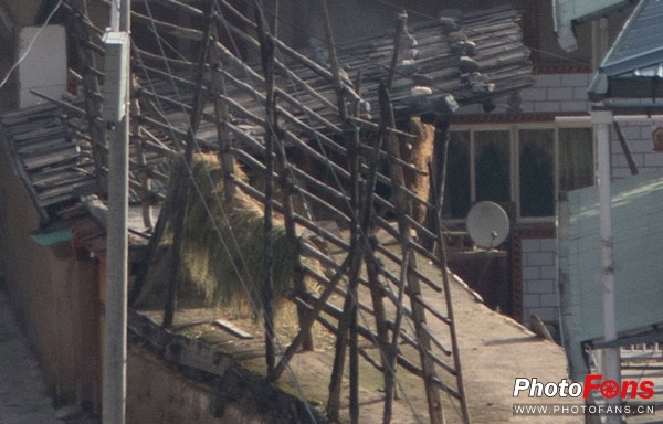 一镜走天下腾龙镜头,一镜走天下18-200腾龙镜头