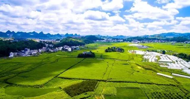 全网销量第一的薏米,大米热销10斤