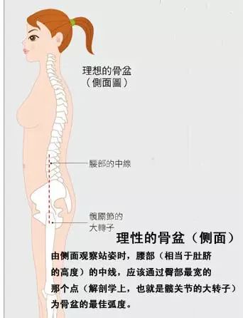 第917期｜骨架与平衡！人体架子是练好太极拳的大问题（推荐阅读）