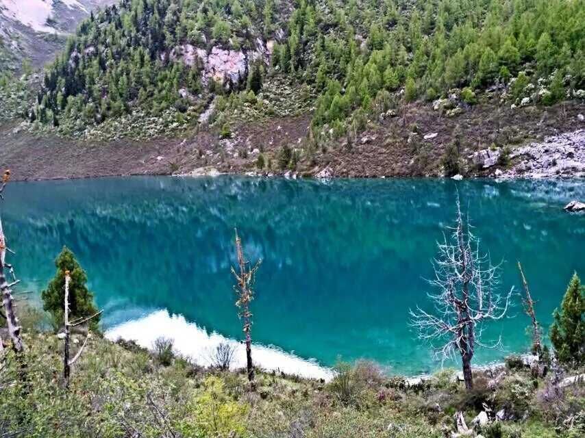 走近你就走进了痛苦出自哪里,走近你就是走近痛苦