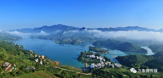 头条丨大家好！我叫巴马，这是我的简历，请多多关照！