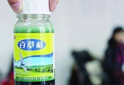 柳州毒案最新,柳州毒案庭审2018