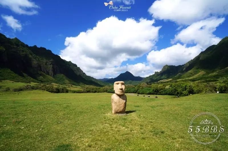 大胆去爱去感受世界,大胆去爱完整版