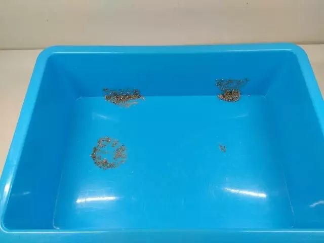 便宜好用膨润土,松木很不好吗