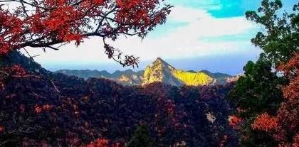 少华山红叶节完整视频,少华山红叶节开幕