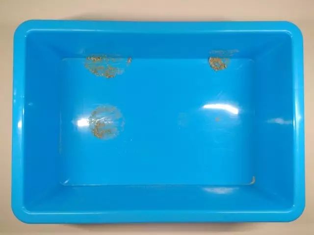 便宜好用膨润土,松木很不好吗