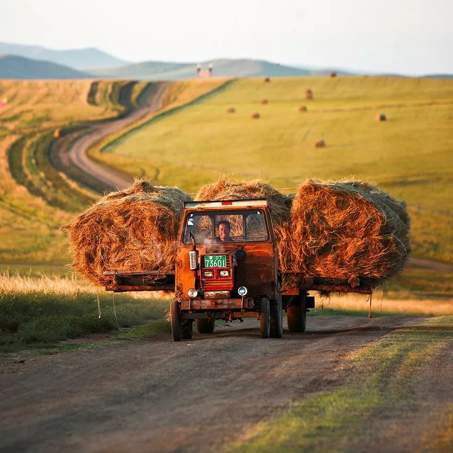 秋分,秋分早霜降迟