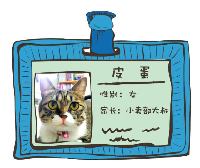 便宜好用膨润土,松木很不好吗