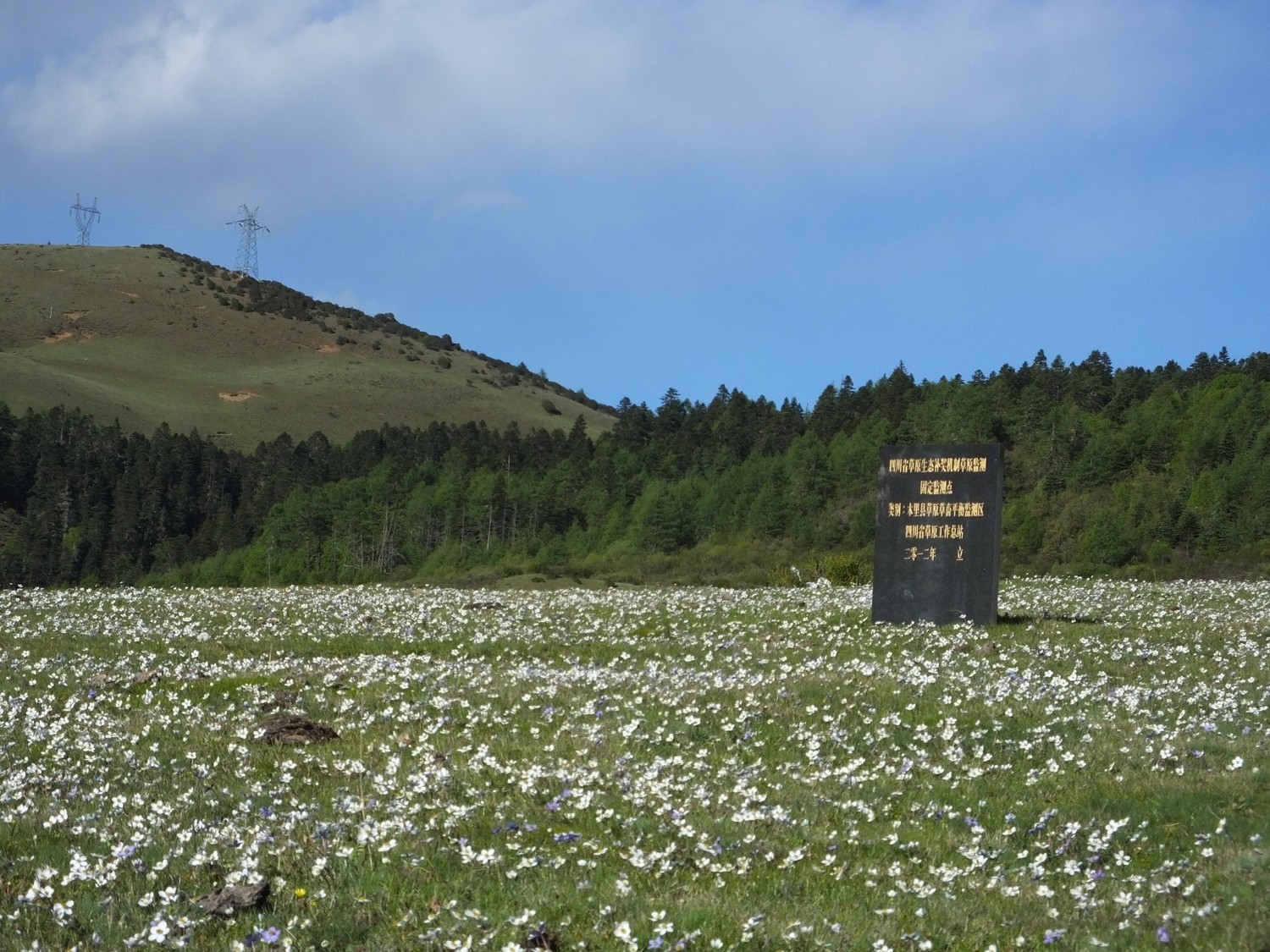 泸亚东线沿途风景,泸亚线穿越原始森林