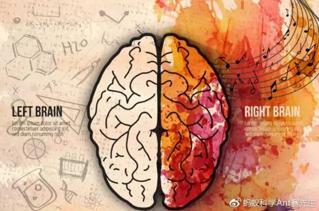 右脑的潜力,现在有的人还在迷信吗