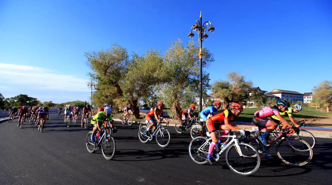 美丽的内蒙古额济纳胡杨林,恋上南山路美图