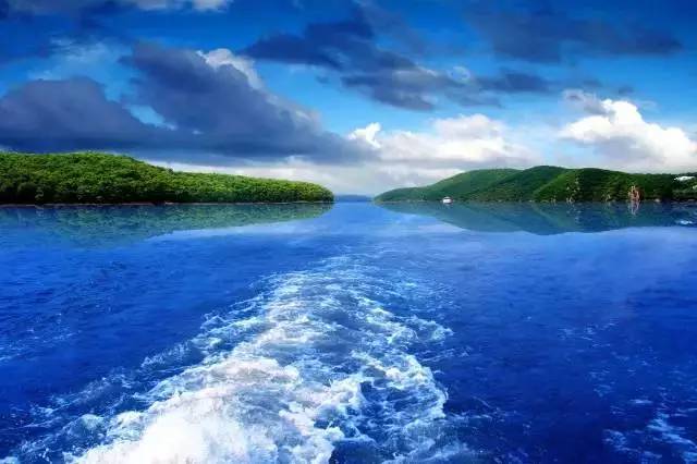 哈尔滨有什么挣钱的新项目求推荐,哈市挣钱的项目