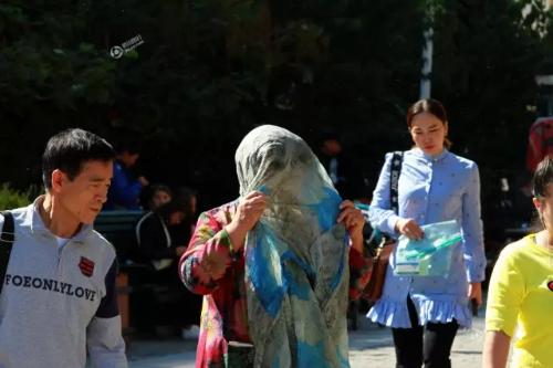 哈市“小咬”突然没了是被花大姐吃了？园林植保专家赵绥林：自然死亡+降温刮风