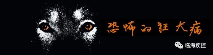 狂犬病相关知识世界狂犬病日,致死率100%的狂犬病你该怎么预防