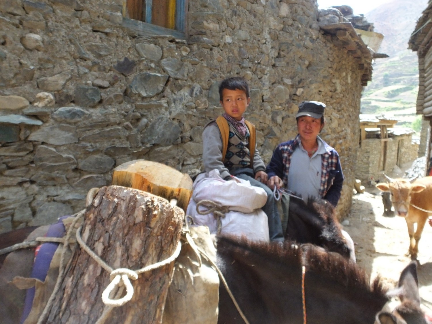 泸亚东线沿途风景,泸亚线穿越原始森林