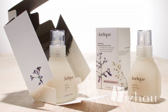 世界上女首富,世界女首富2009年资产