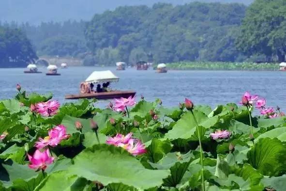 合肥人出国自驾游,合肥市人坐动车外出