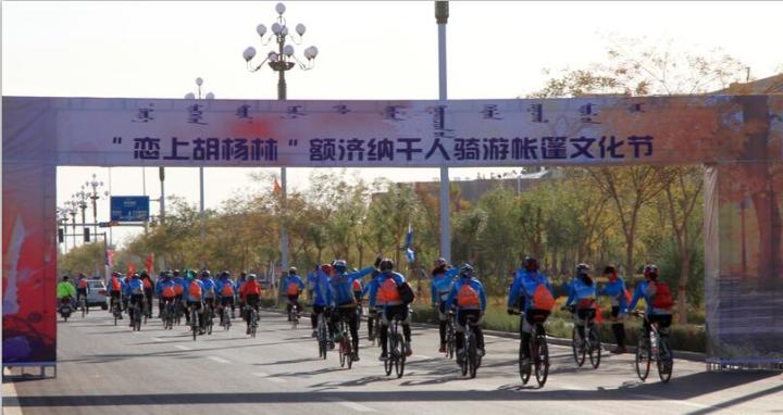 美丽的内蒙古额济纳胡杨林,恋上南山路美图