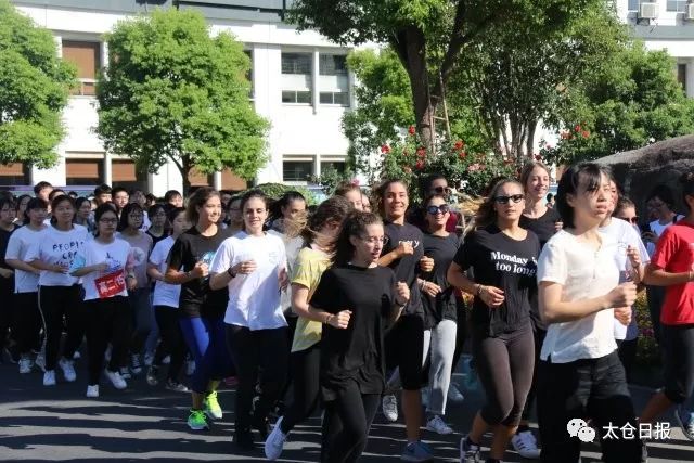 这群漂亮的意大利小哥哥小姐姐来太仓干了啥？