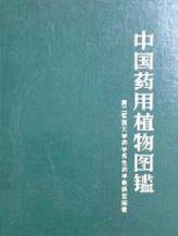 「百草园」那些“悬壶济世”的植物（二十七）罗布麻