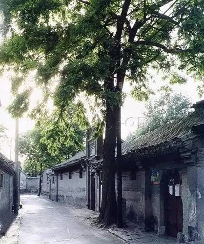 北京积水潭有多牛,北京积水潭好在哪里