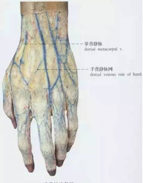扎针如何进针不疼,怎么扎针最稳不鼓