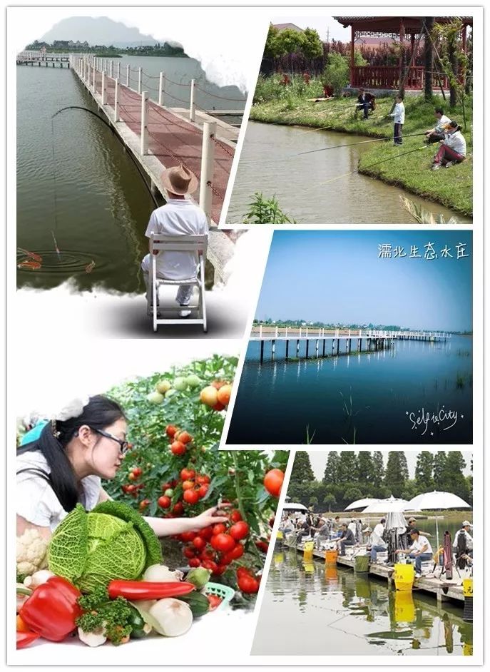 芜湖农家乐休闲度假,芜湖周边农家乐一日游推荐