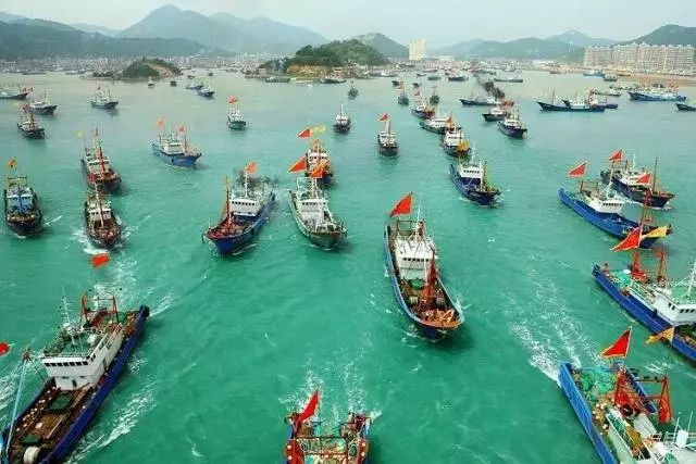 开渔期后市场海鲜价格,海产市场最新消息价格表