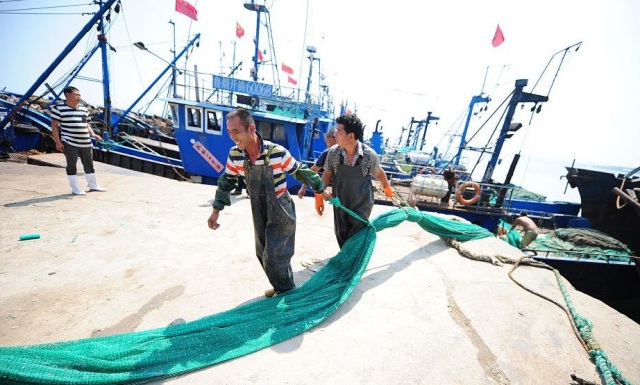 开渔期后市场海鲜价格,海产市场最新消息价格表