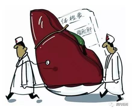 脂肪肝药有哪些牌子,脂肪肝专用药