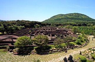 韩国旅游冬季济州岛好玩吗,韩国旅游攻略济州岛购物