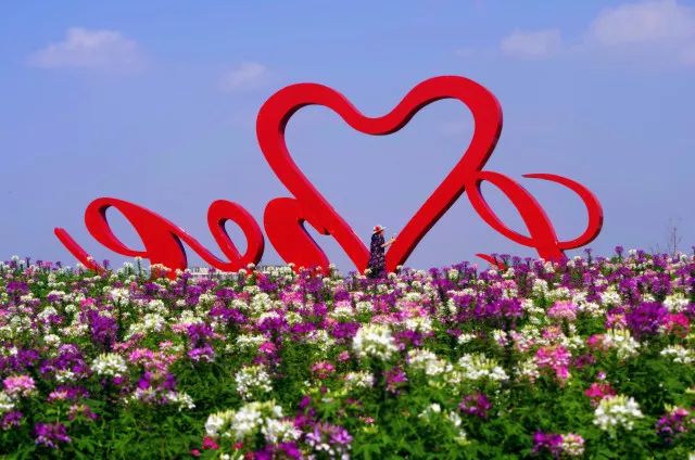 「你说我做之周浦篇」你不可错过的“小上海”,约吗?