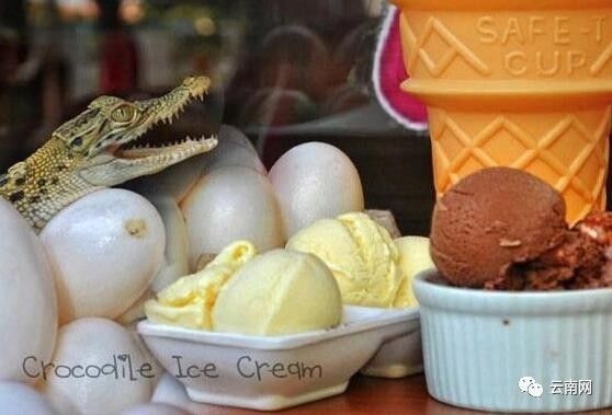 早fun|省内增开多趟列车应对返程高峰你的返程票买了吗?