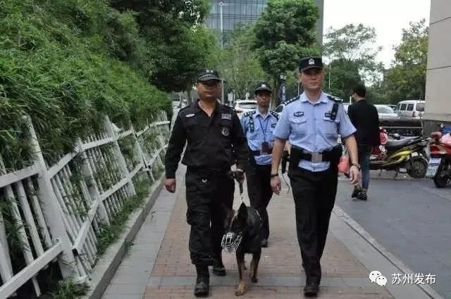 总收入86.7亿元！黄金周8天，苏州交给世界这样一份答卷！