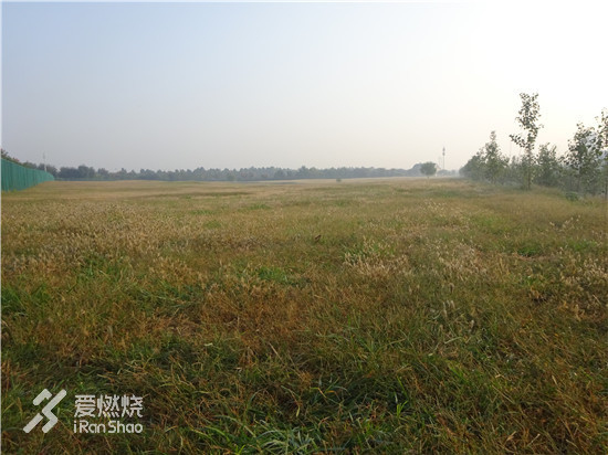 brookshyperionelite跑鞋,brooksghost12发售价