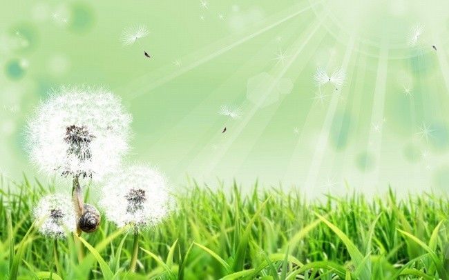 南宁第二妇幼保健院儿童康复中心,南宁妇幼保健院咨询医生