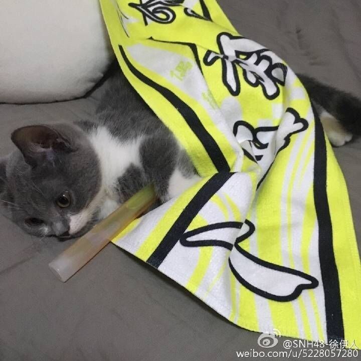 毁童年之“快乐星球”男主角竟然出轨又家暴!还好只爱看第一部!