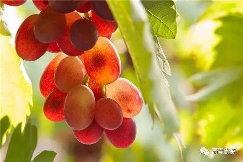 山东省淄博这个地方怎样,淄博第一个地级市