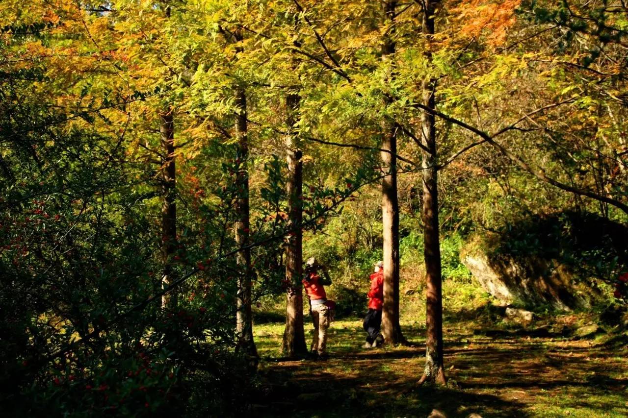 秋天必打卡的地方,石柱秋天打卡