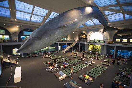 到博物馆看展览,去博物馆看一场展览